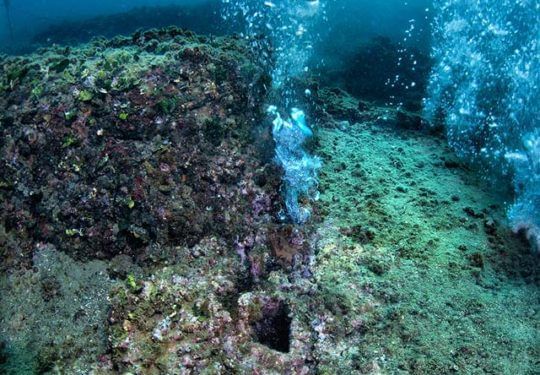Underwater rocky seafloor with algae-covered boulders and clear blue water