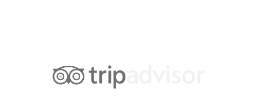 TripAdvisor logo with owl icon and gray text on a white background