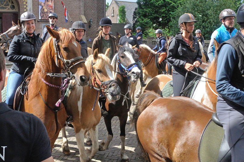 Mensen te paard staan ​​in een rij buiten. Velen dragen een helm en de paarden hebben verschillende kleuren.