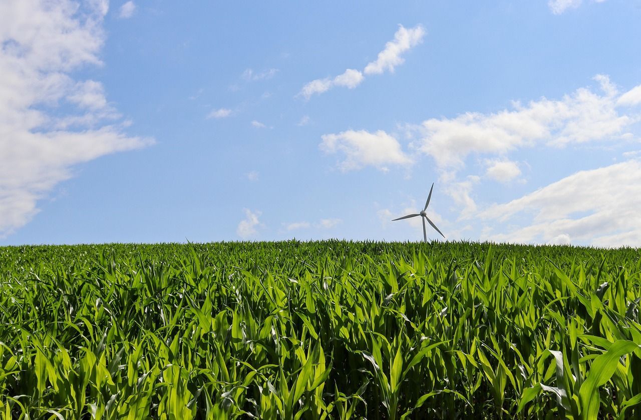 Een groen akkerland met een windmolen aan de horizon, onder een blauwe hemel met wolken.