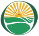 Shineone Icon