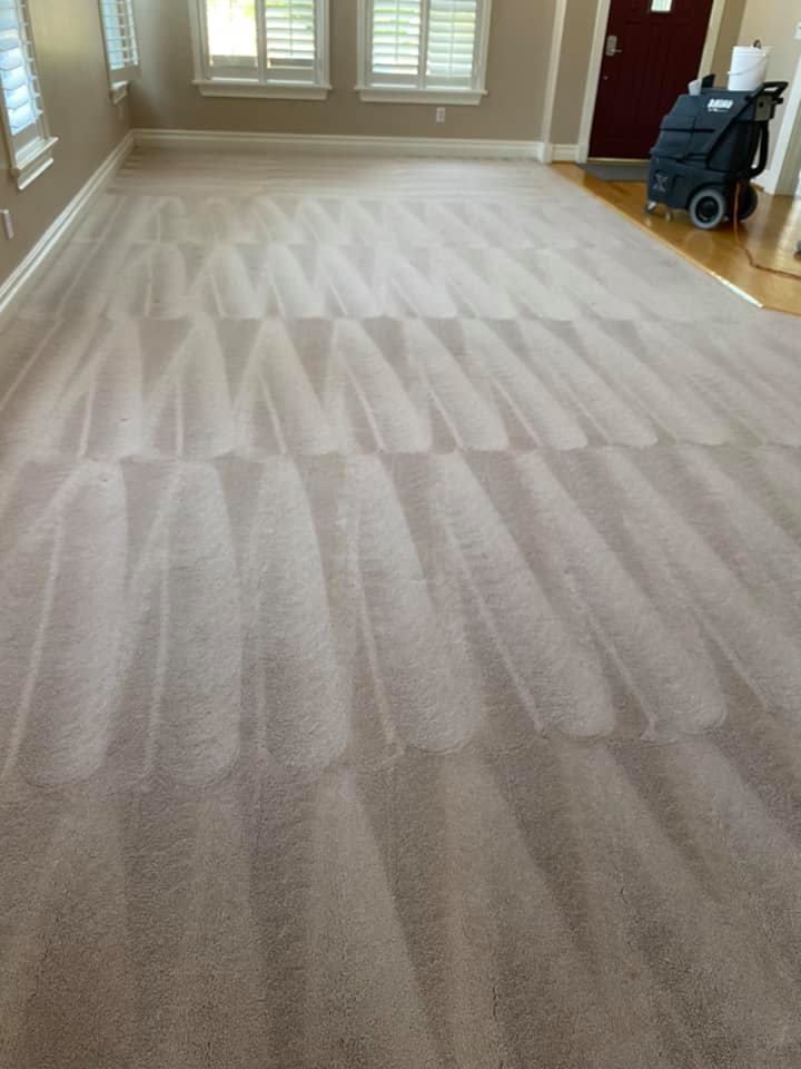 A large carpeted floor in a living room with a vacuum cleaner.
