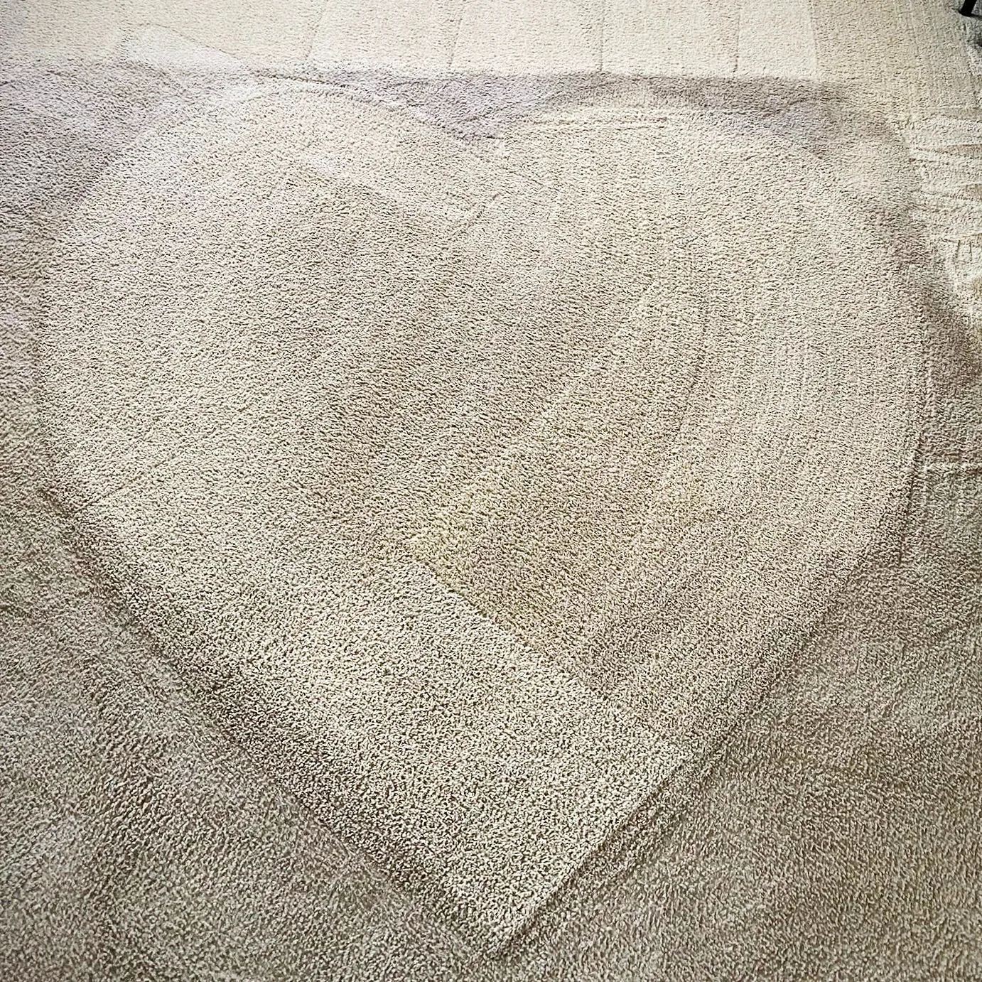 A close up of a carpet with a stain on it.