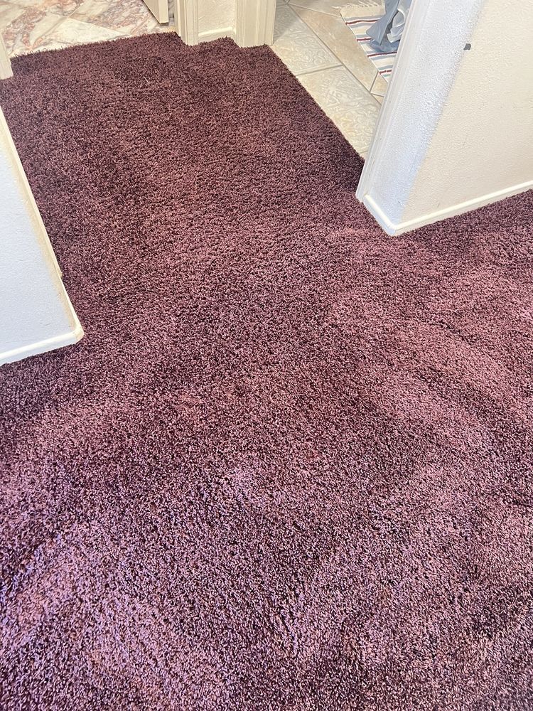 A purple rug is on the floor in a room.