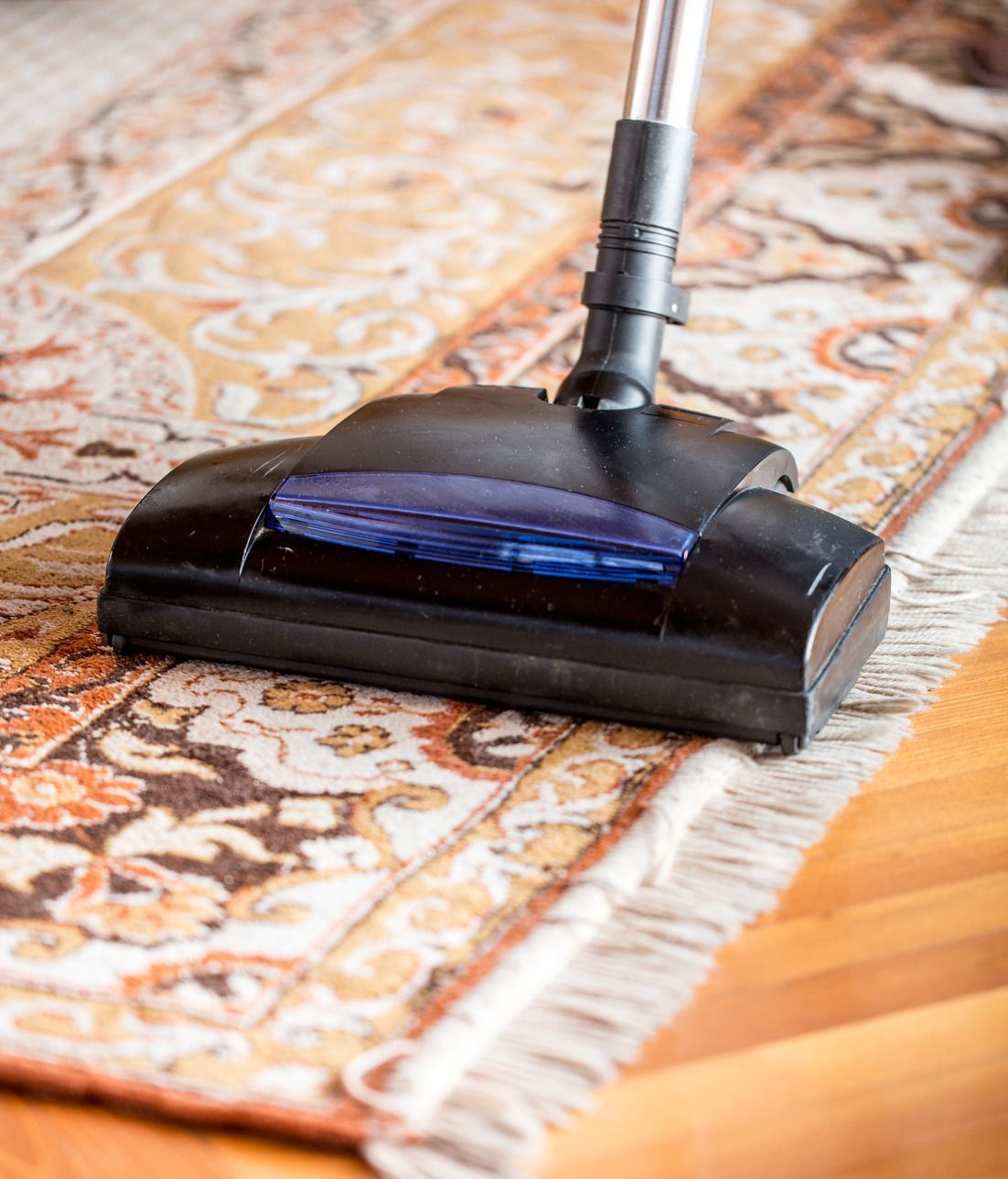 Vacuum cleaner head on patterned rug.