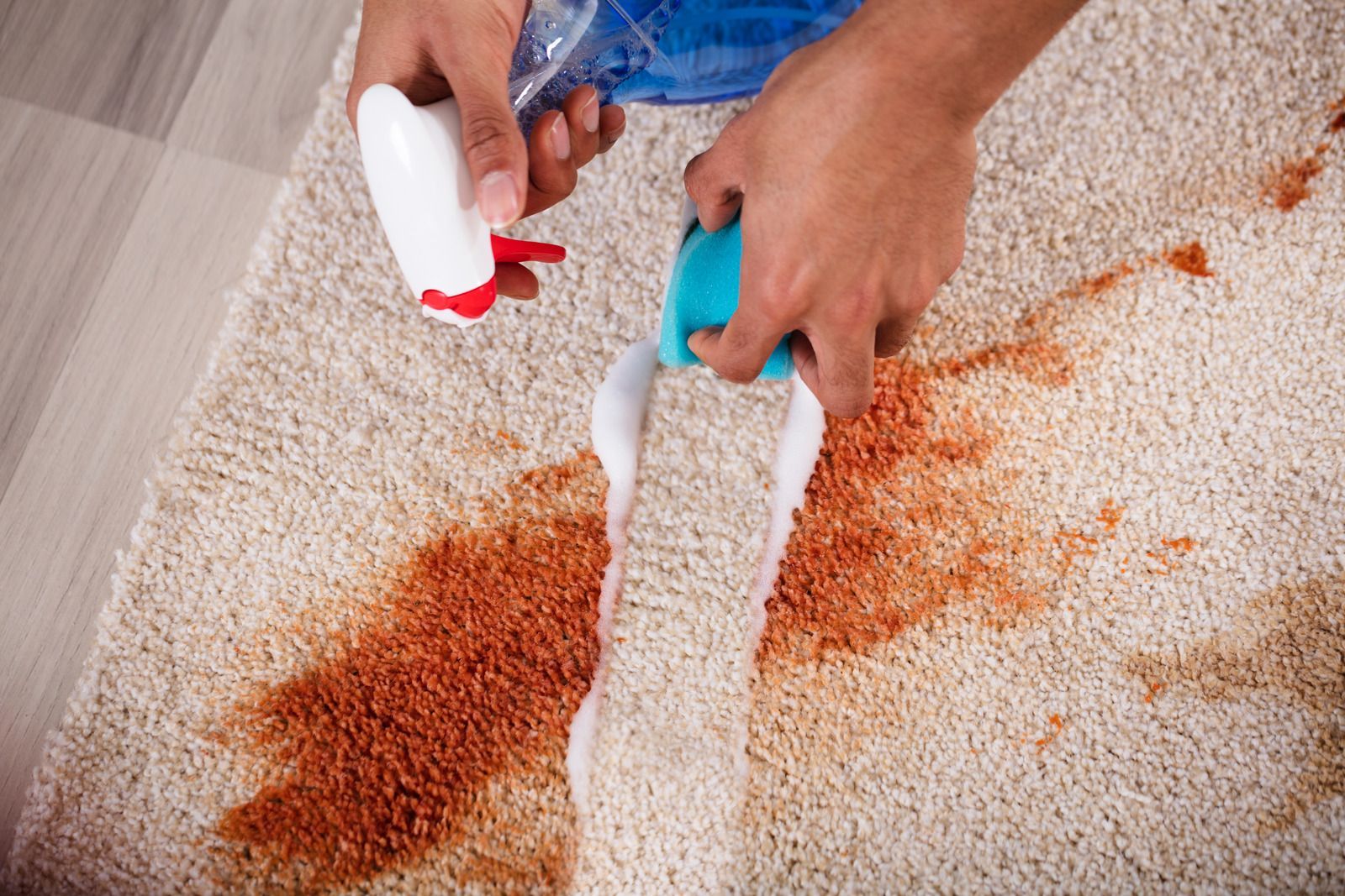 Hands spraying cleaning product on a brown stain on a beige rug.