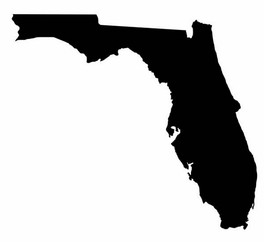 LICENSED IN FLORIDA ONLINE AUCTIONS