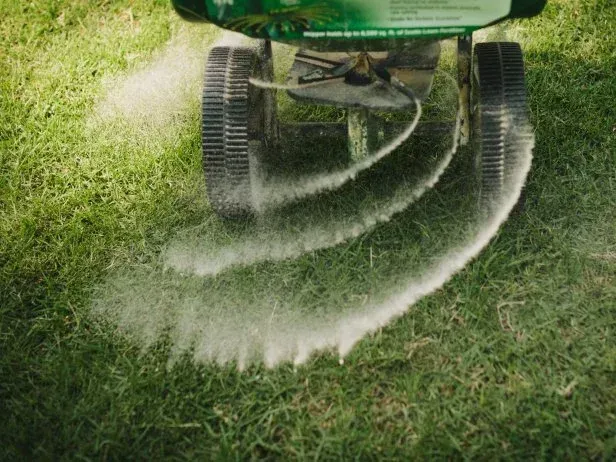 A person is spreading fertilizer on a lush green lawn. A person is spreading fertilizer on a lush green lawn.