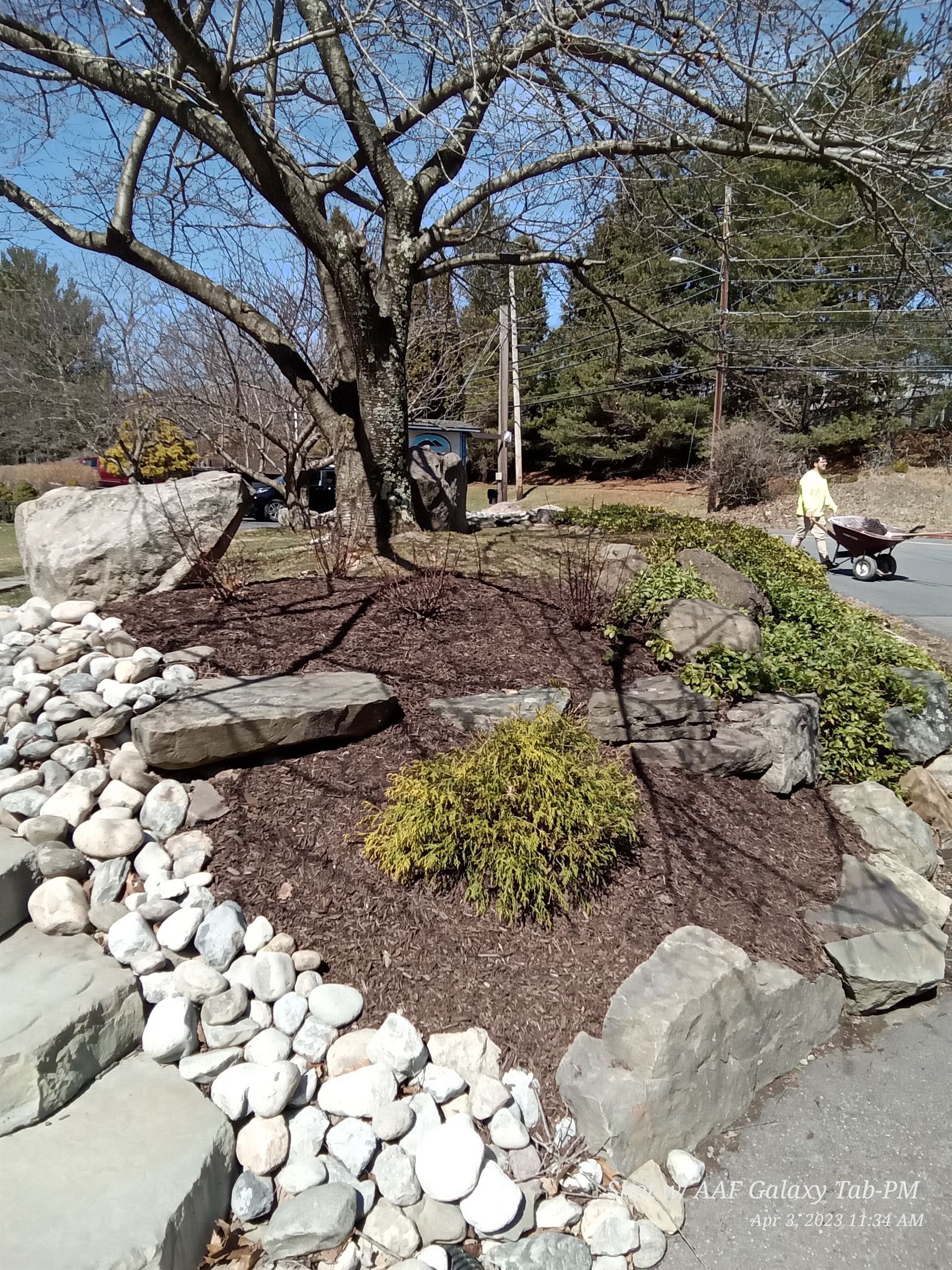 Landscaped garden with rocks, mulch, and small bushes under a tree.