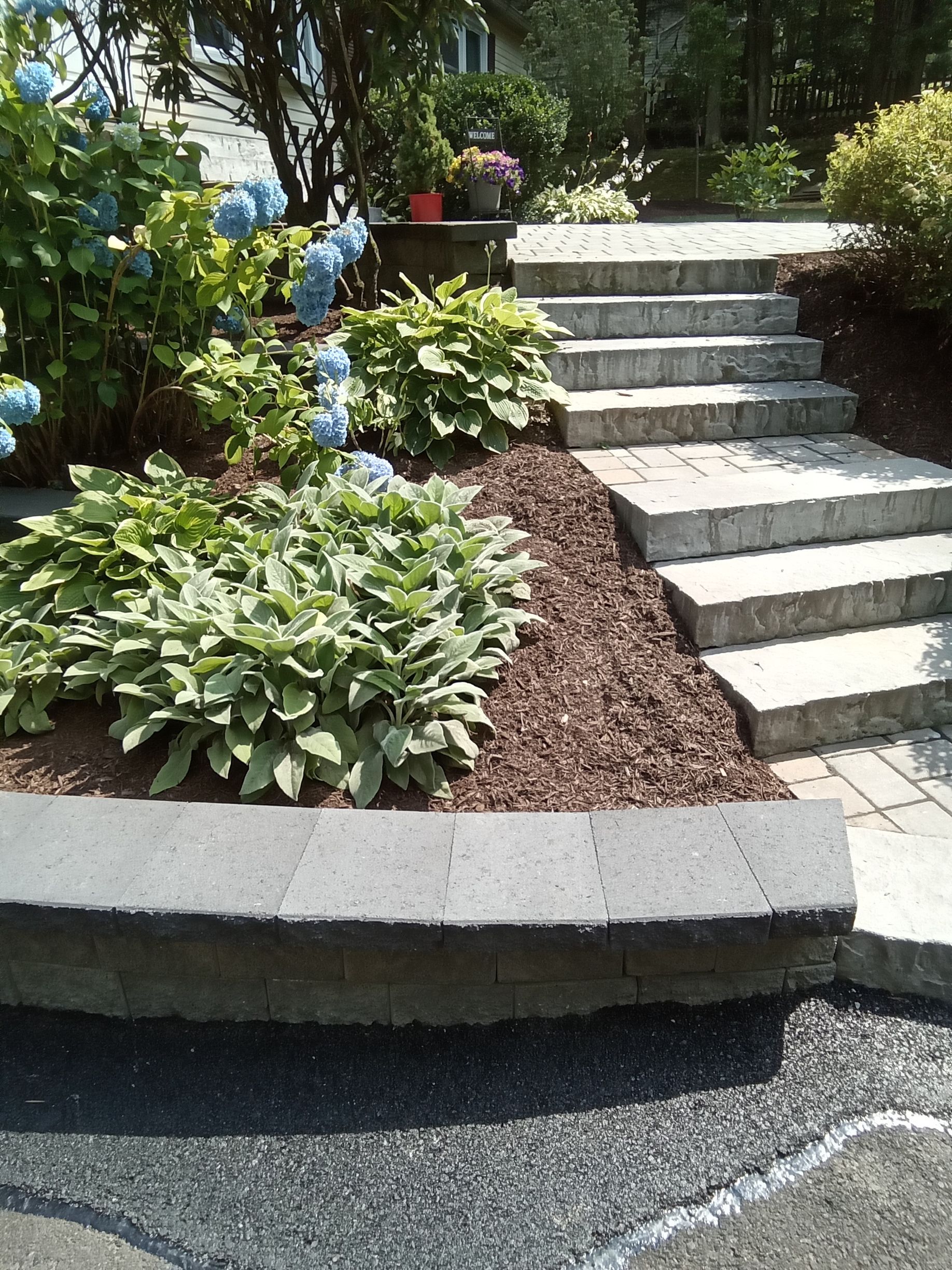 Stone steps leading up, bordered by mulch and plants with blue and green foliage.