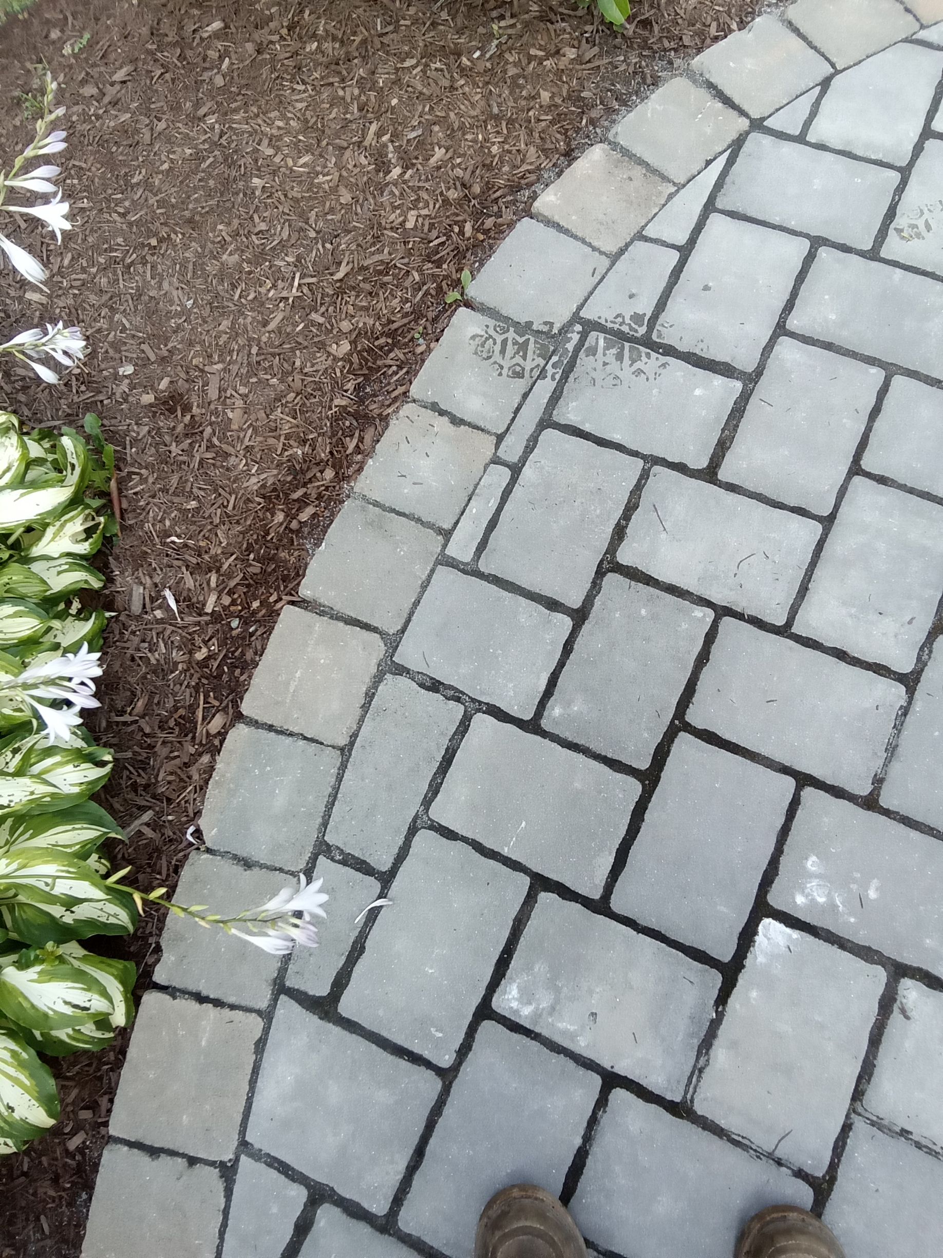 Curved brick walkway bordered by mulch and green plants. Footwear visible in the bottom right corner.