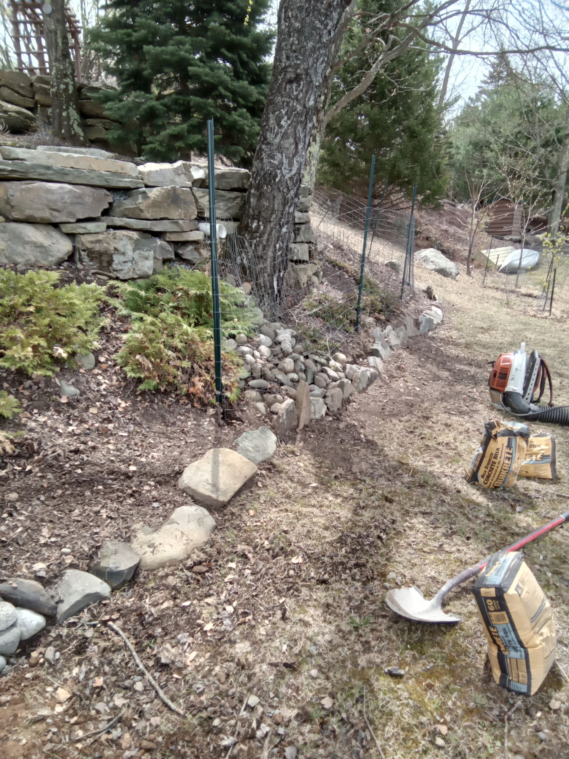 A yard with a stone retaining wall, a tree, and gardening tools; brown mulch and dry grass are visible.