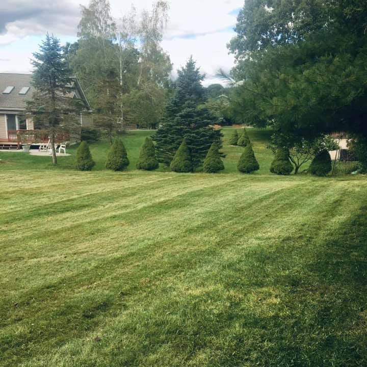 A lush green lawn with trees and a house in the background.