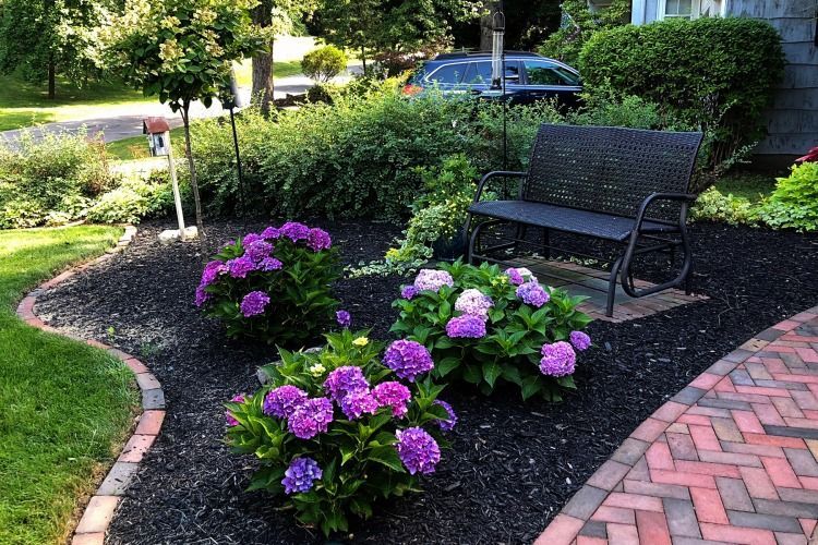 there is a bench in the middle of the garden with purple flowers .