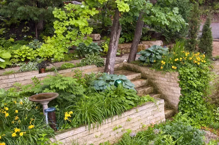 A garden with a brick wall and stairs surrounded by plants and trees. A garden with a brick wall and stairs surrounded by plants and trees.