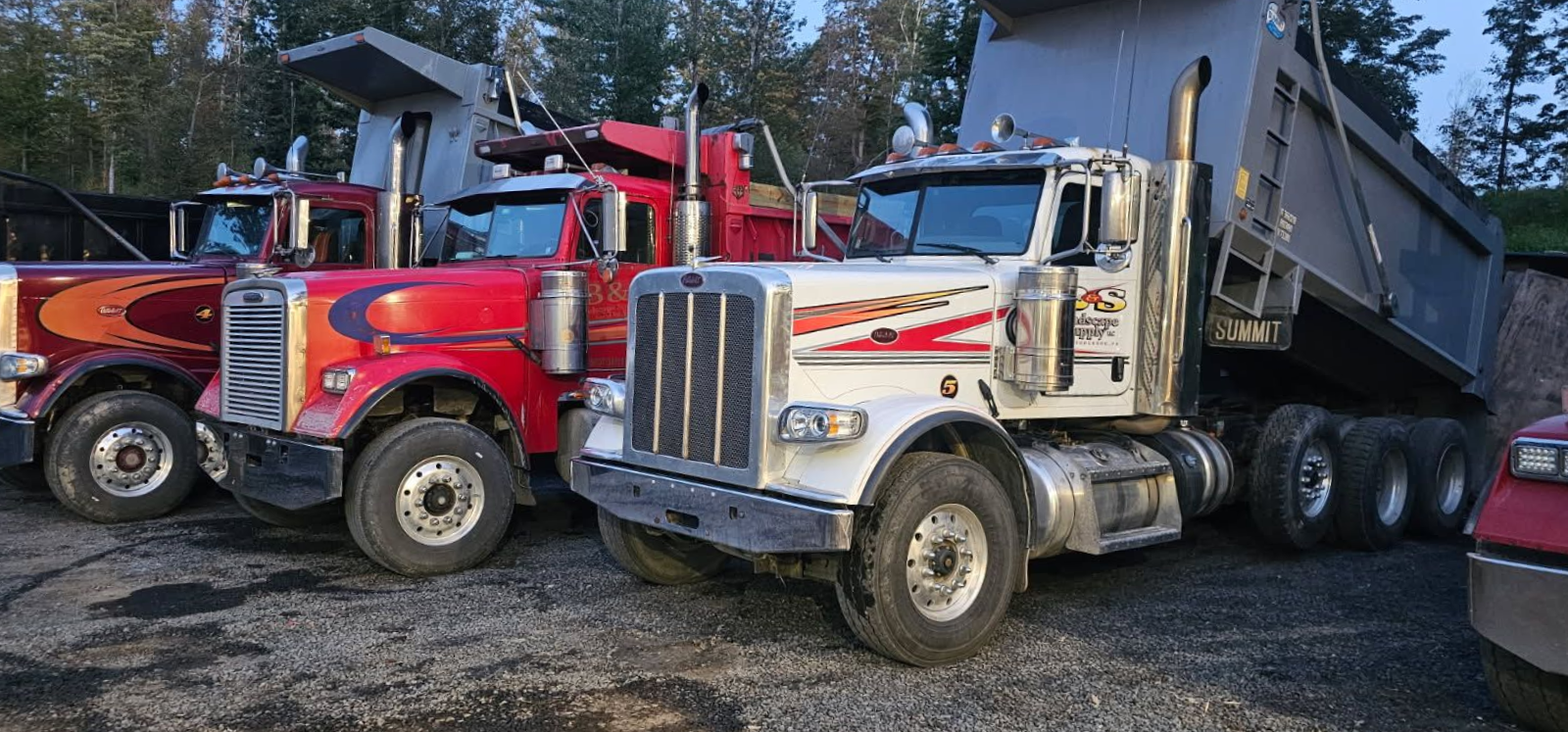 Three dump trucks parked outdoors, one red, one white, and one with a design.