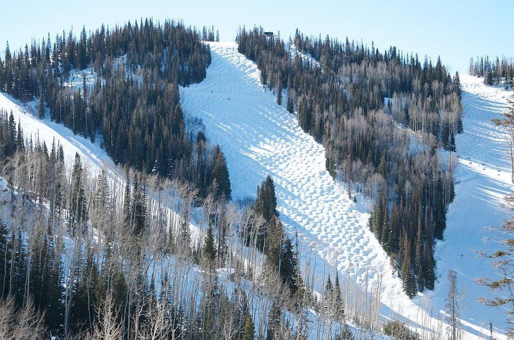 A snowy mountain with trees on the side of it A snowy mountain with trees on the side of it