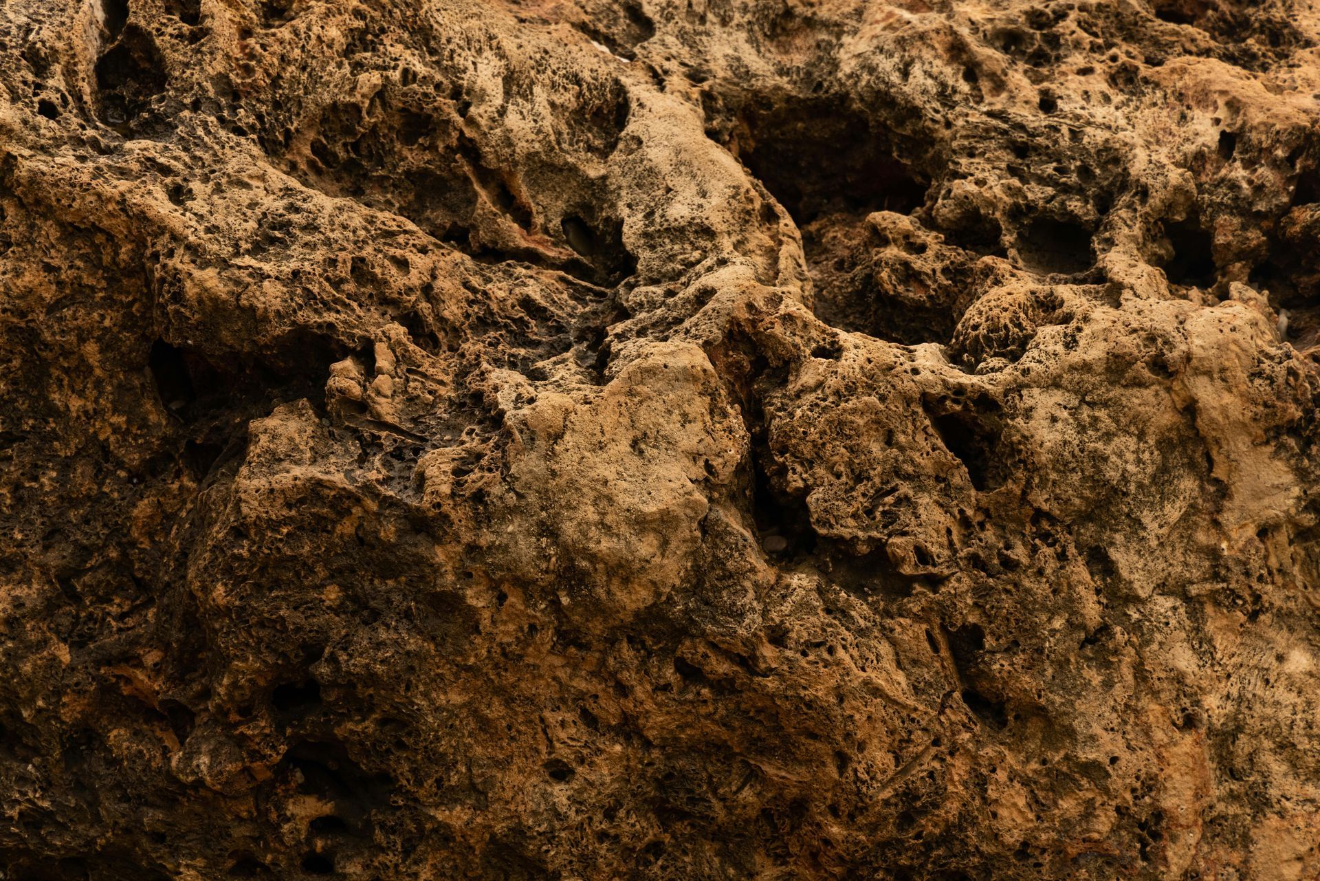 Close-up of rough, textured rock surface; shades of brown and tan with many holes and crevices.
