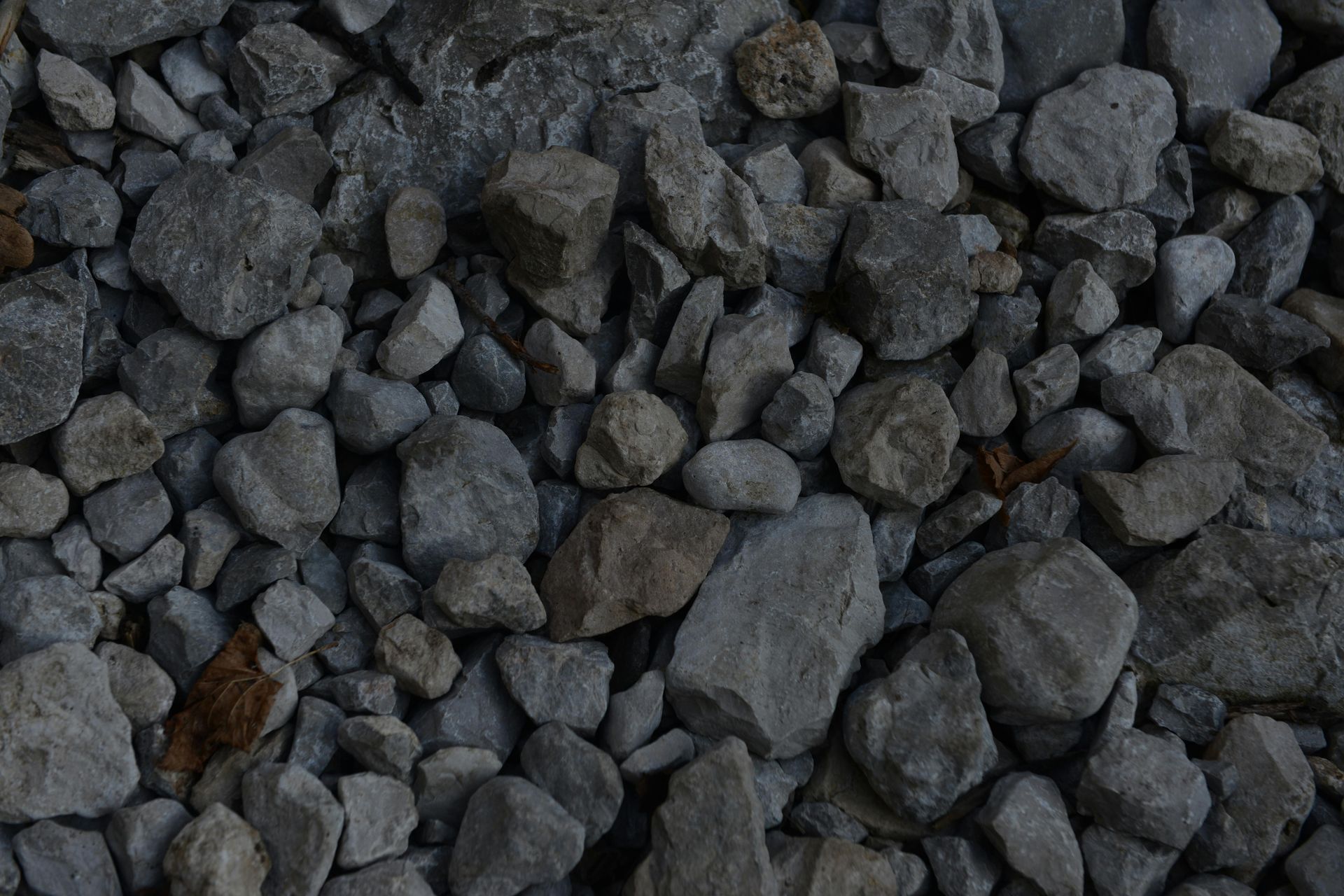 Close-up of a pile of gray and tan rocks.