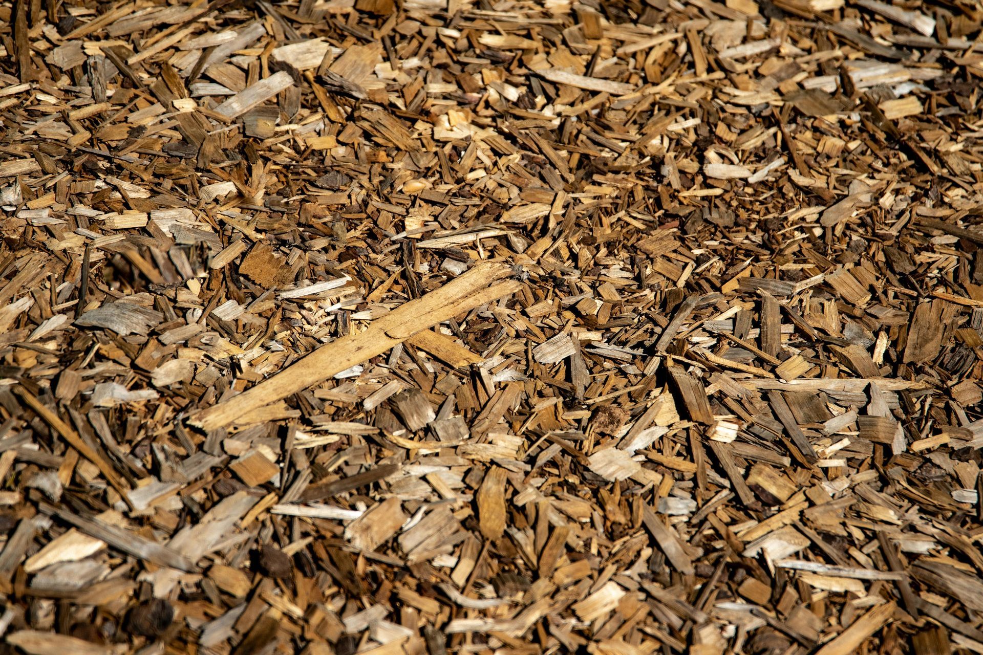 Close-up of brown and tan wood chips scattered, used as ground cover.