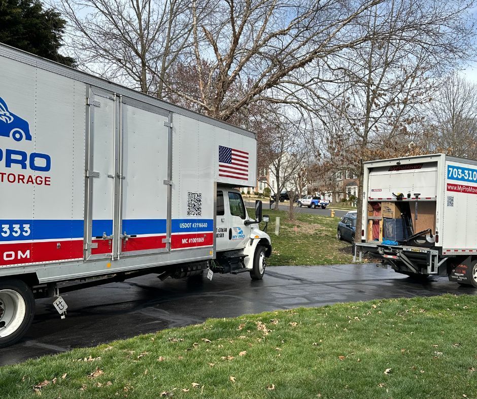 Choose Northern Virginia for Your International Move