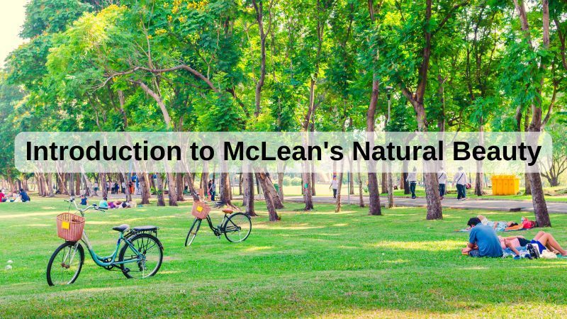 McLean park with green trees, bicycles, and people relaxing on the grass under a title banner