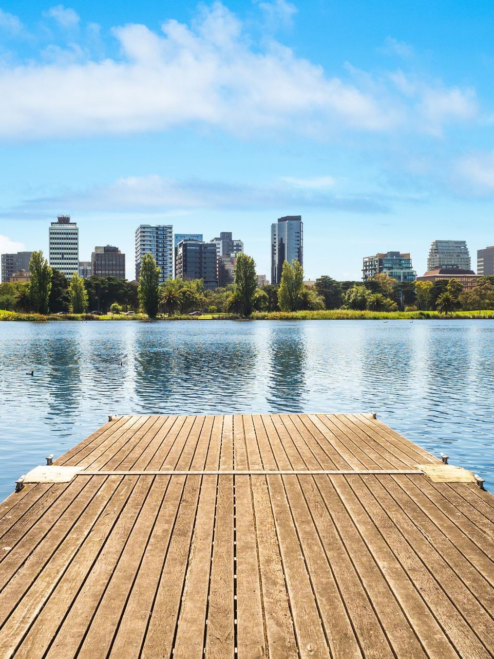 A wooden dock overlooking a lake with a city skyline in the background.