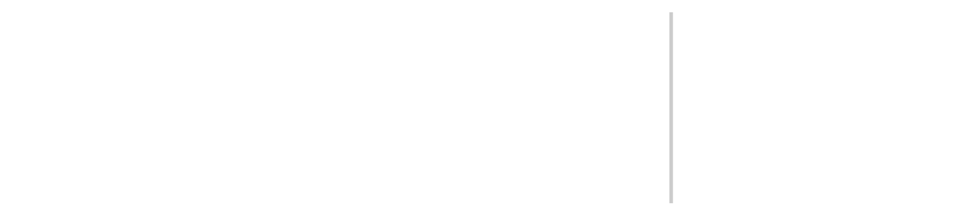 Vertical, light gray line on a white background.