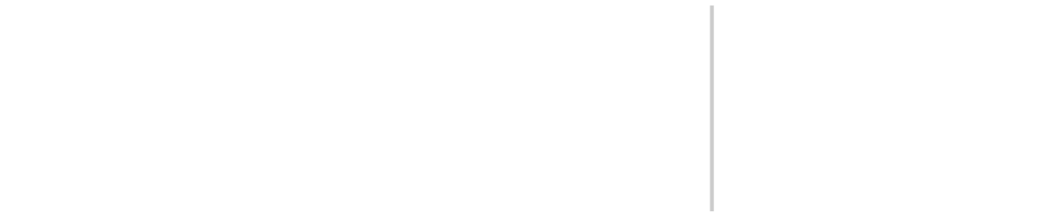 Vertical, light gray line on a white background.