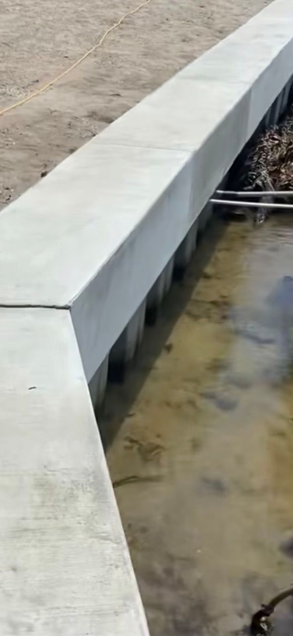 Concrete retaining wall bordering murky water.