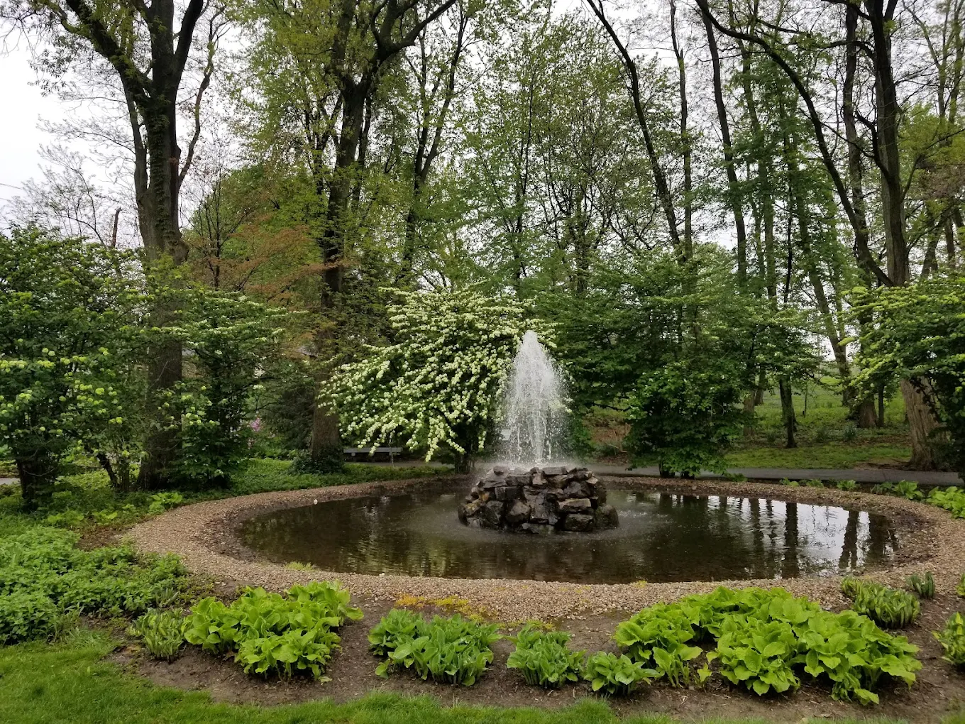 Small fountain spraying in a circular pond, surrounded by lush green trees and shrubs in a park.
