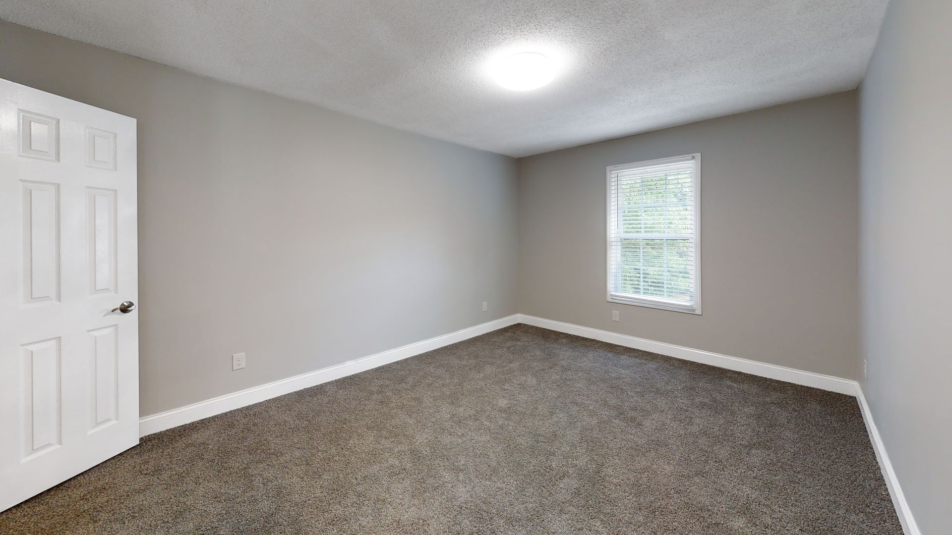 Empty carpeted bedroom with gray walls, white door, and a small window letting in daylight
