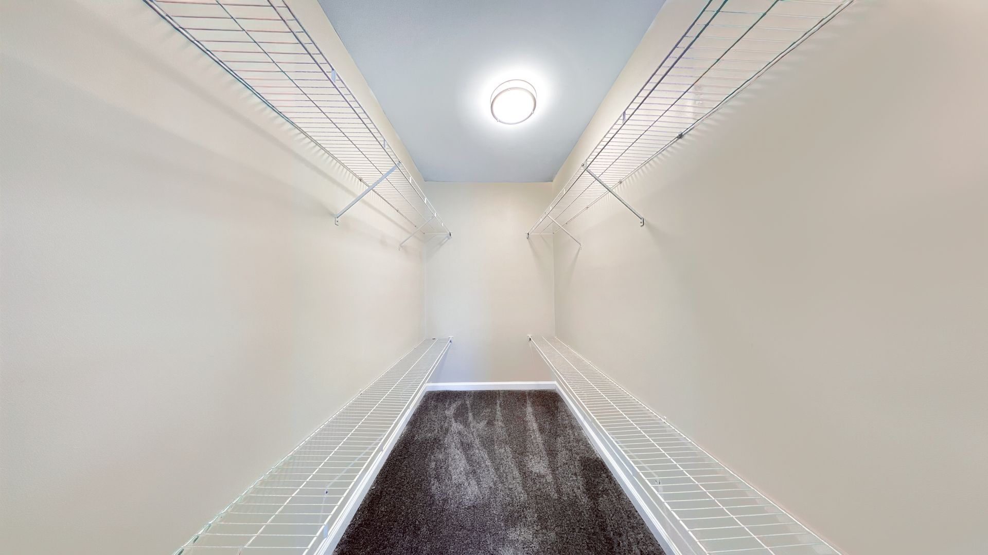 Empty walk-in closet with white wire shelves and a dark carpeted floor, lit by a ceiling light