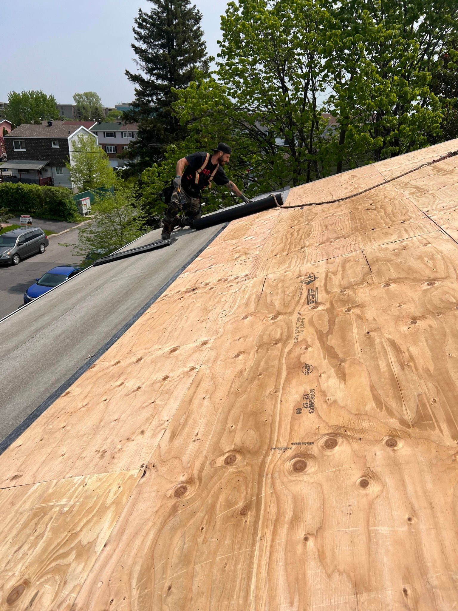 Worker nailing plywood sheathing on a steep roof under construction