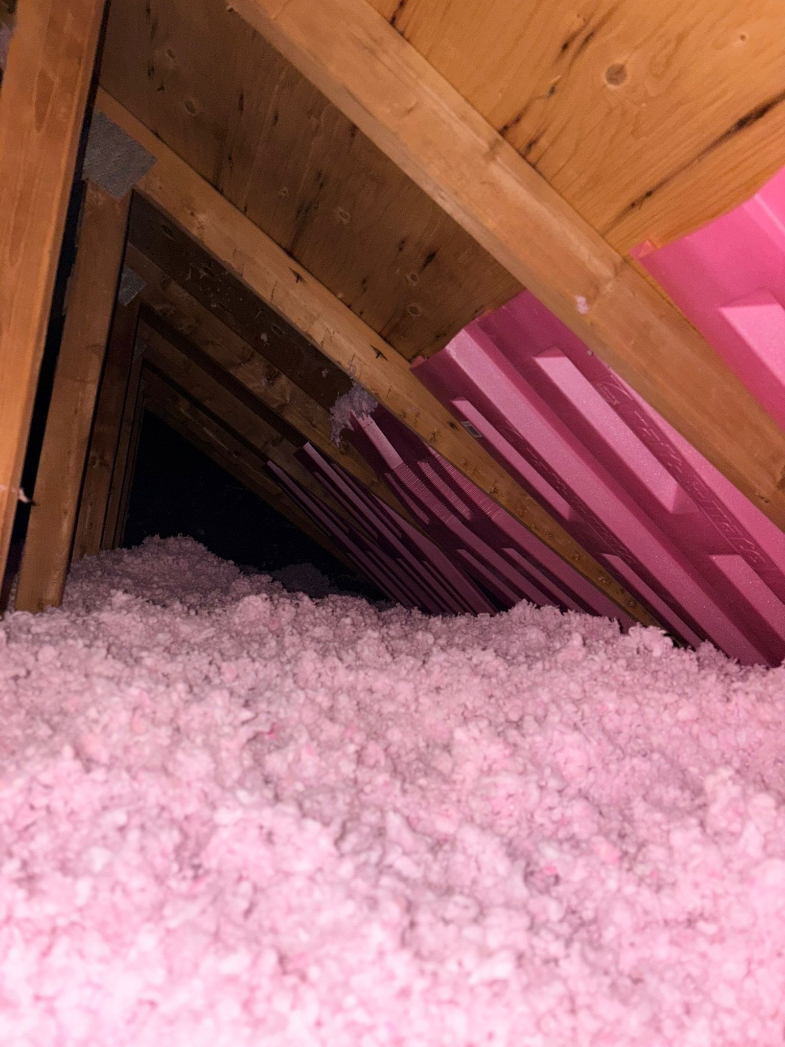 Pink insulation packed under wooden attic rafters, with pink roof supports above