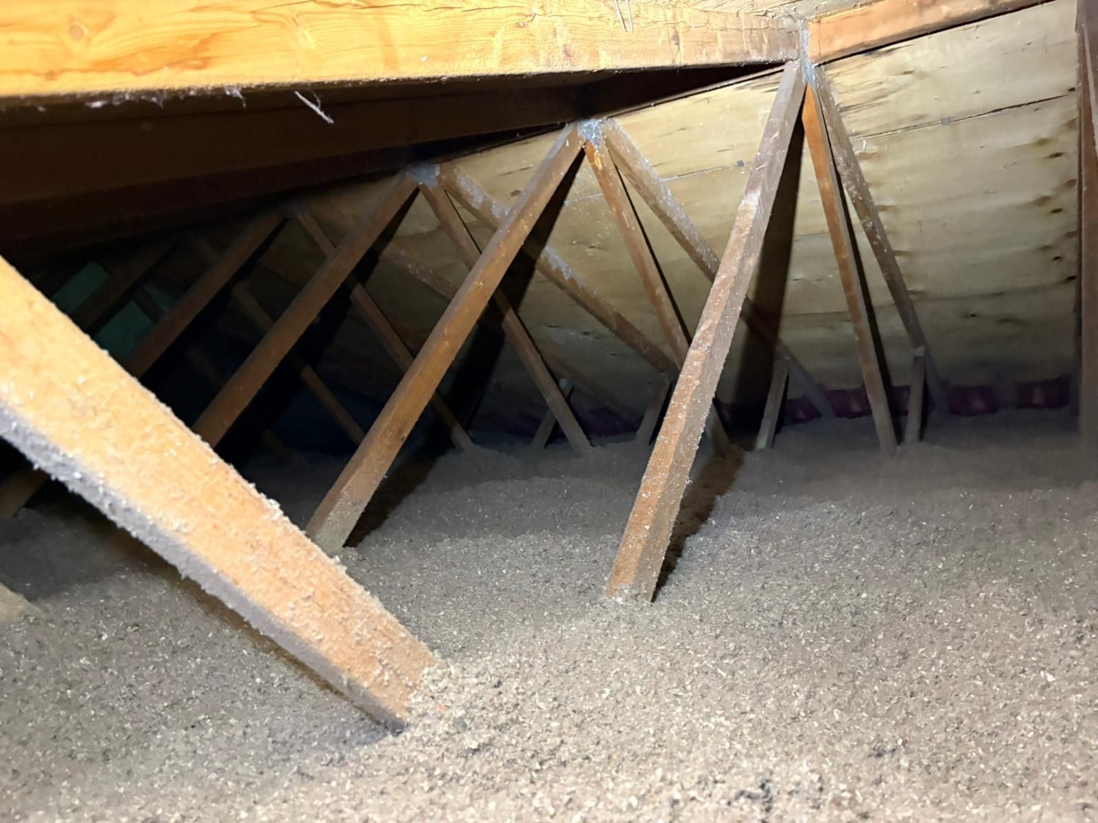 Attic crawlspace with wooden trusses, sloped ceiling, and dusty insulation on the floor
