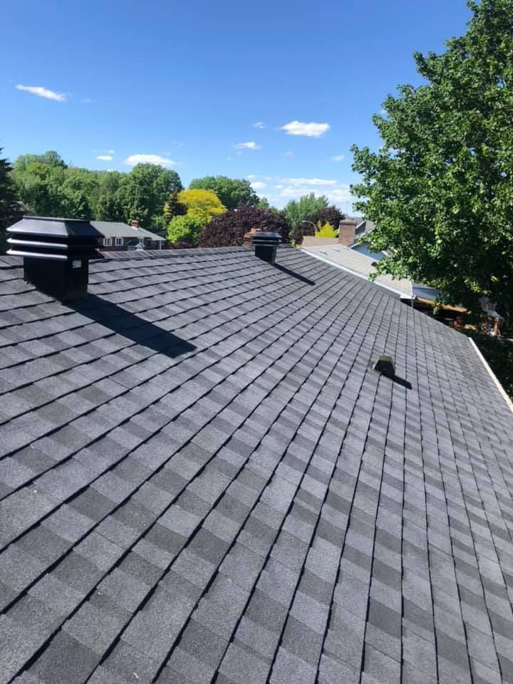 Dark gray shingled roof under a bright blue sky with trees in the background.