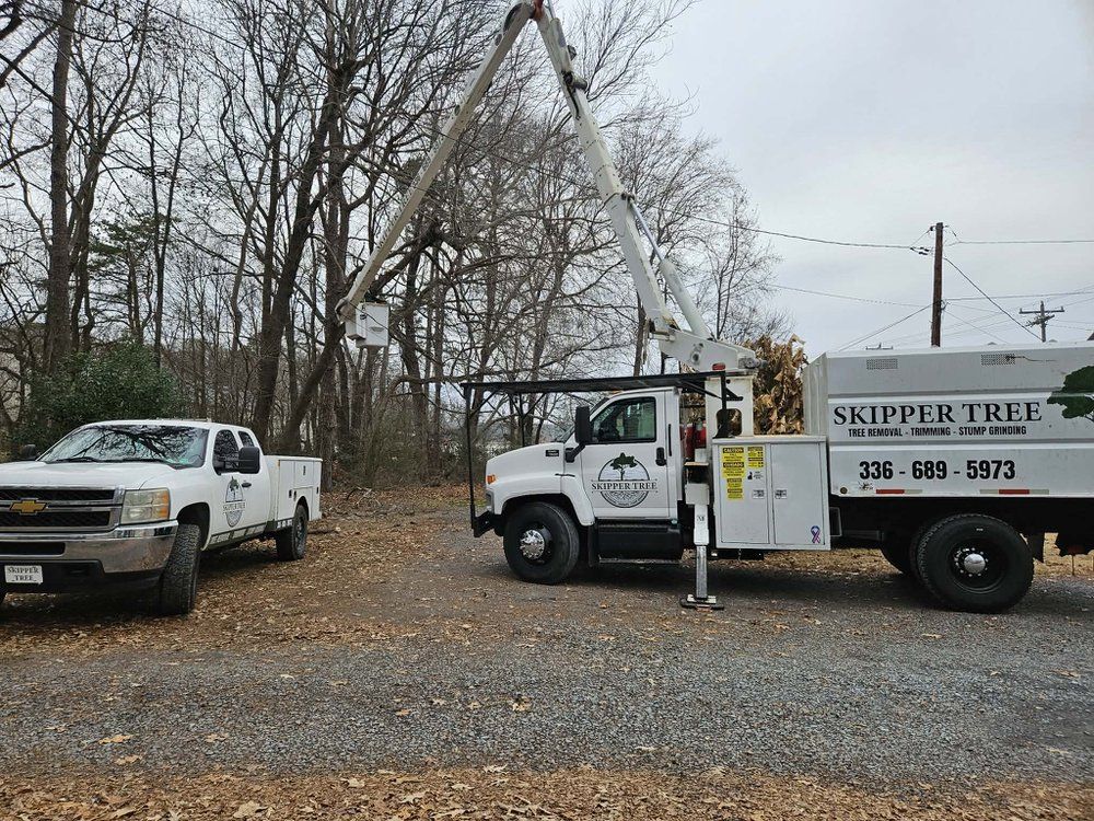 Two tree service trucks next to a tree with a raised boom. Grey sky and trees in the background.