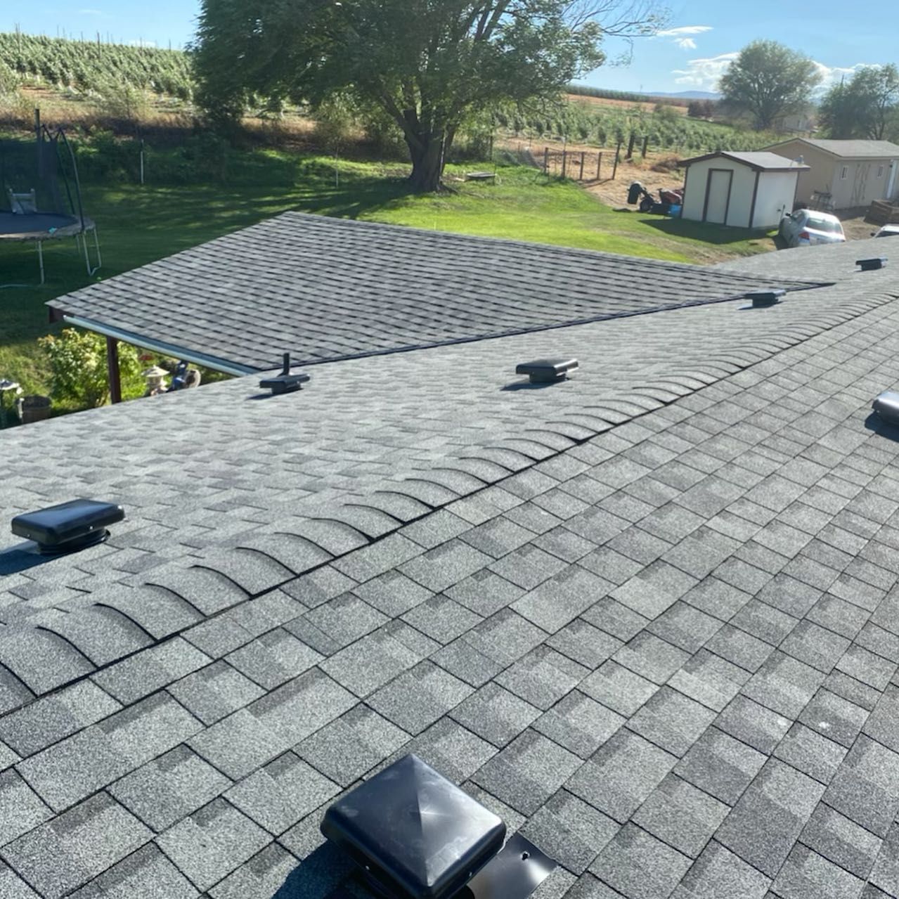View of a gray shingle roof with several vents. A tree, lawn, and buildings are in the background.