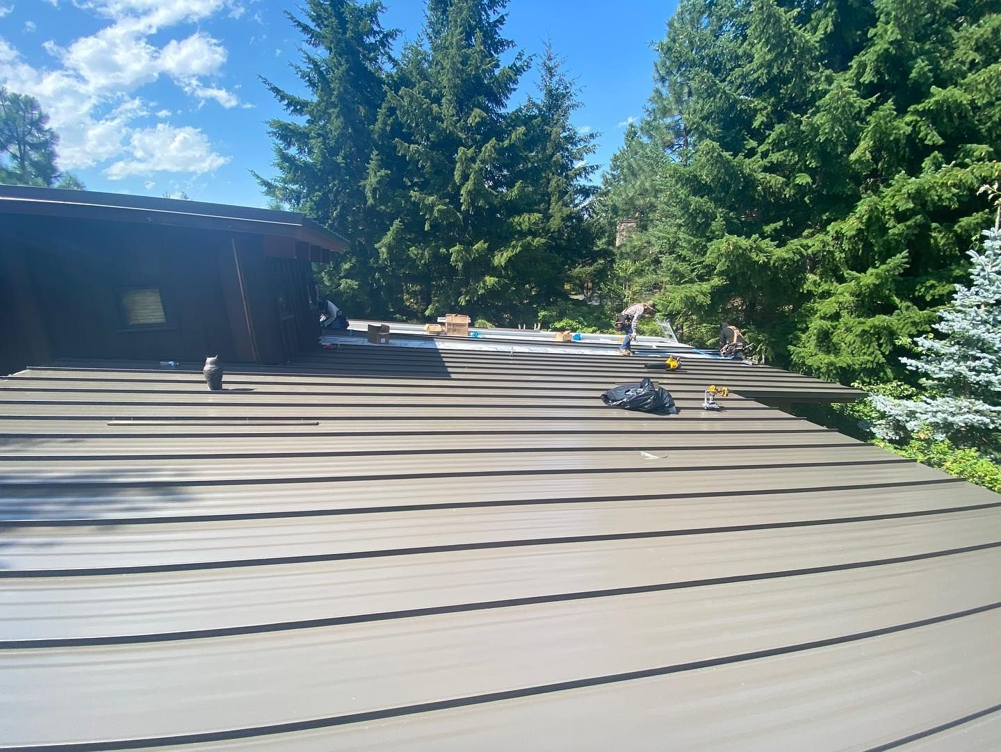 Brown metal roof with trees and blue sky background.