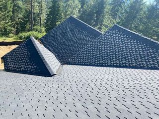 Dark-shingled roof on a house with multiple peaks, set against a background of green trees.