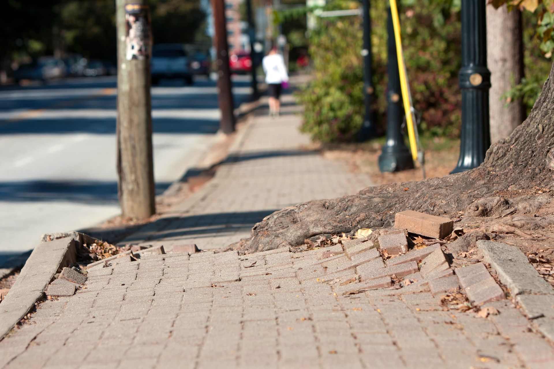 Brick sidewalk damaged by tree roots, person walks in the distance.