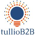 tullioB2B LLC tullioB2B LLC logo