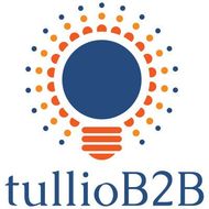tullioB2B LLC tullioB2B LLC logo