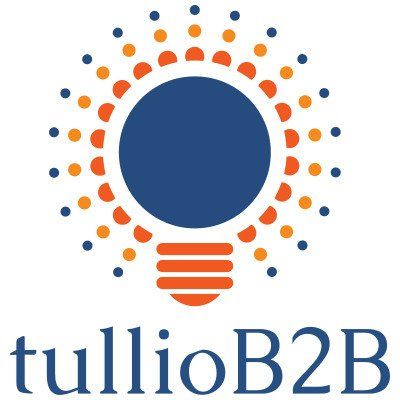 tullioB2B LLC tullioB2B LLC logo