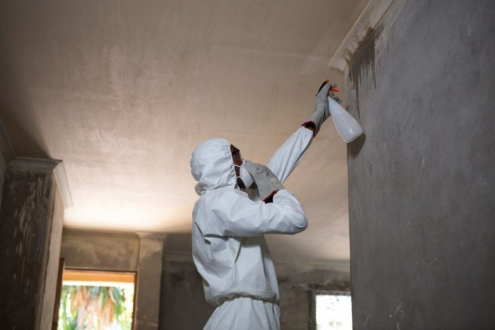 A Man in a Protective Suit is Spraying a Wall With a Spray Bottle — Billy Lanes Pest Control Services in Bowral, NSW