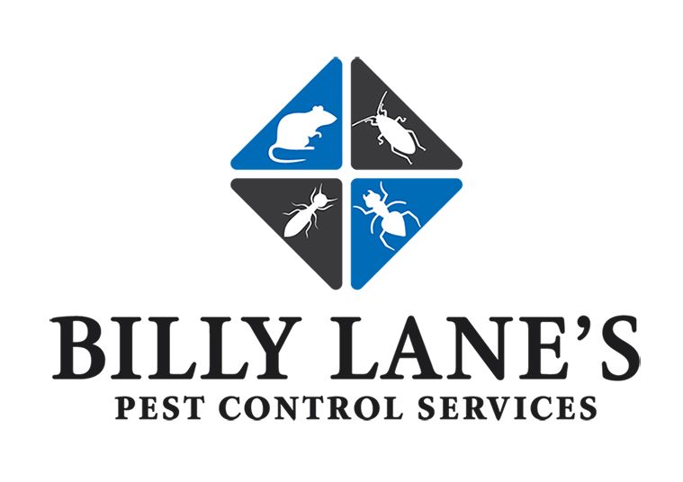 Pest Control in Wollongong Pest Control in Wollongong