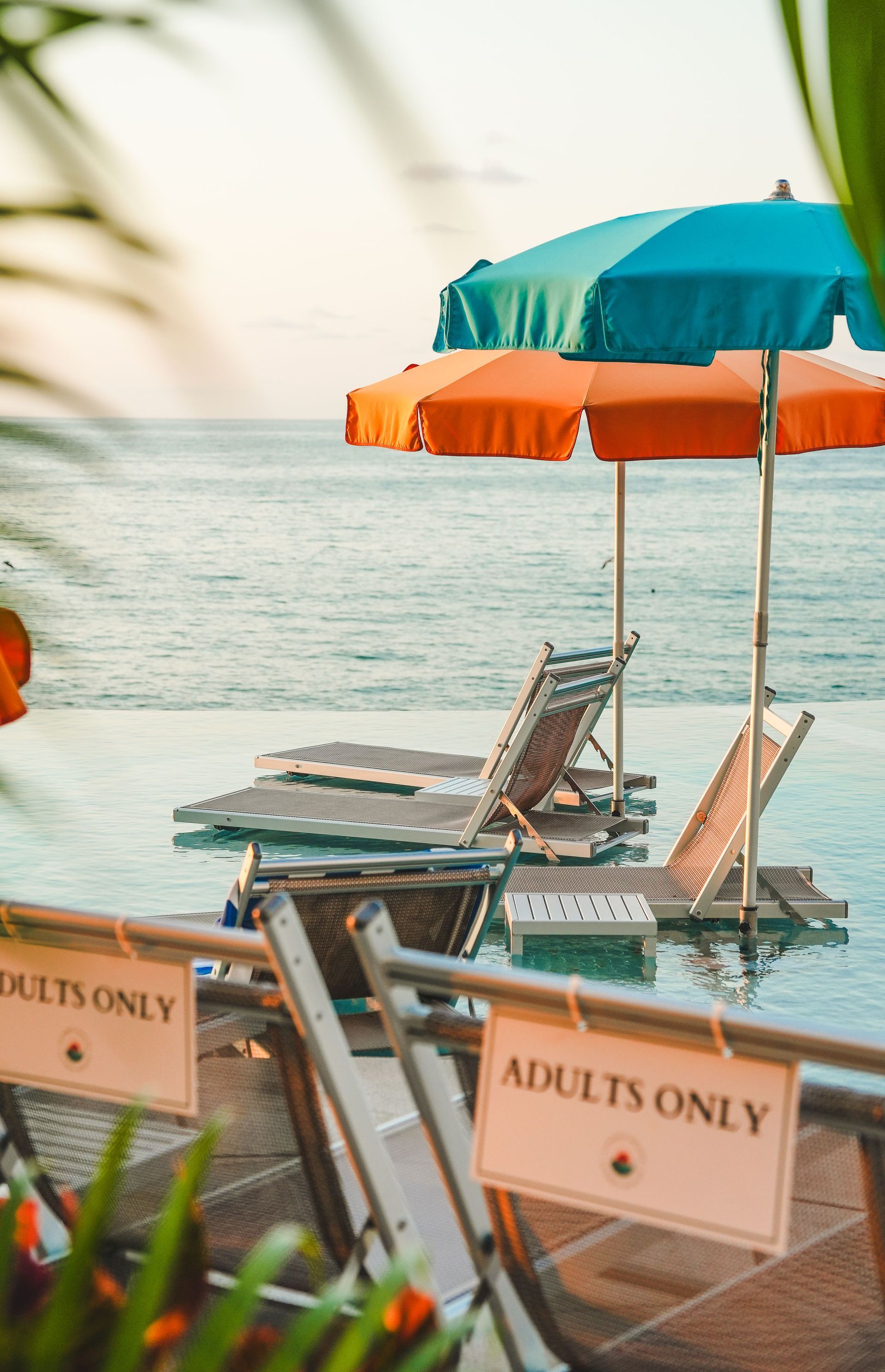 Beach lounge chairs and colorful umbrellas by calm water, with “Adults Only” signs in the foreground