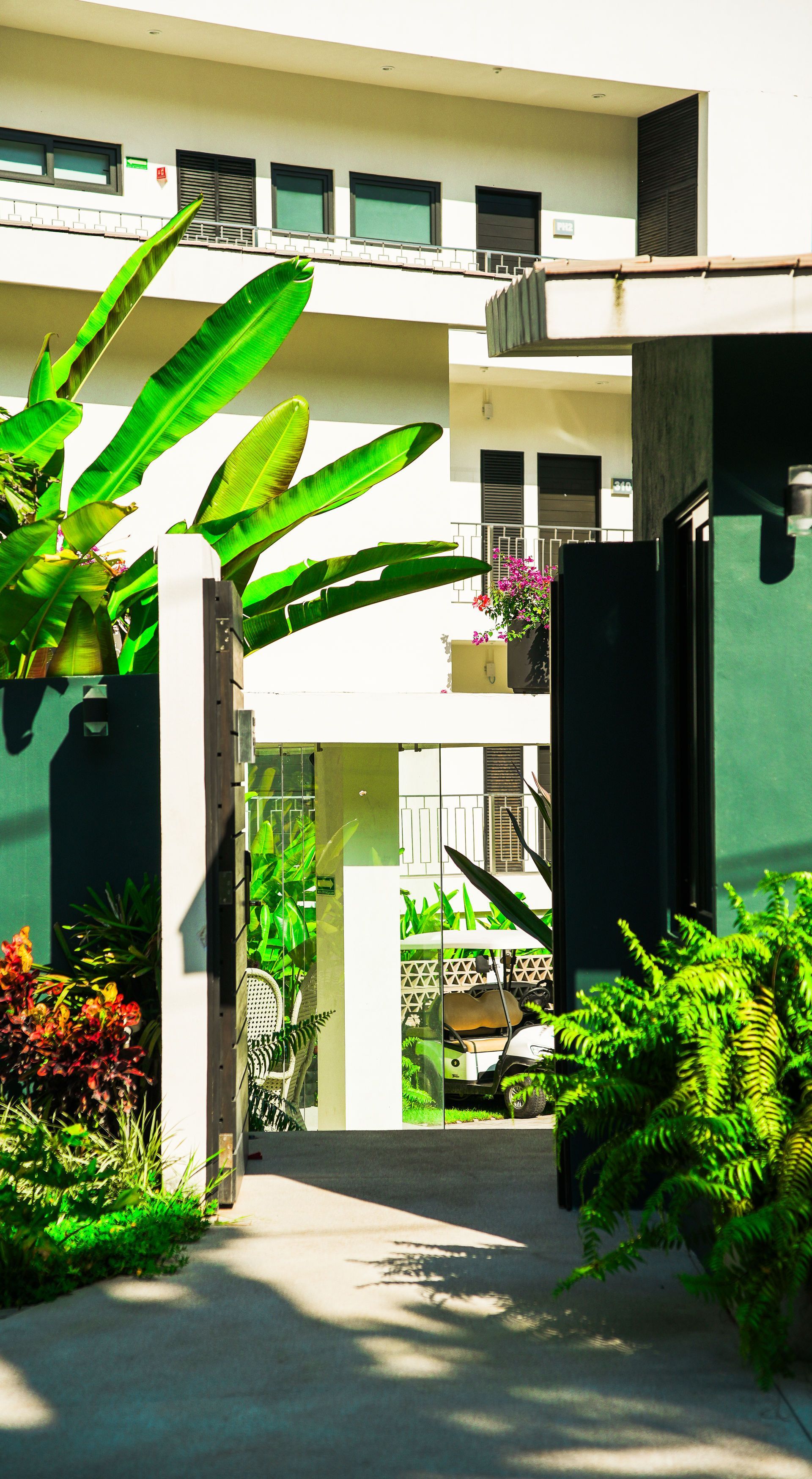Tropical garden entrance with banana leaves, white building, and a shaded walkway