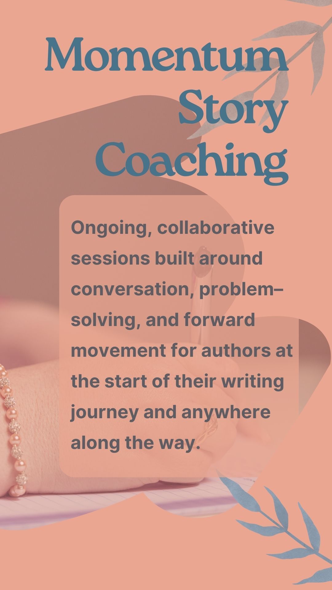 Momentum Story Coaching